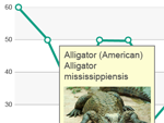 Interactive Data Points